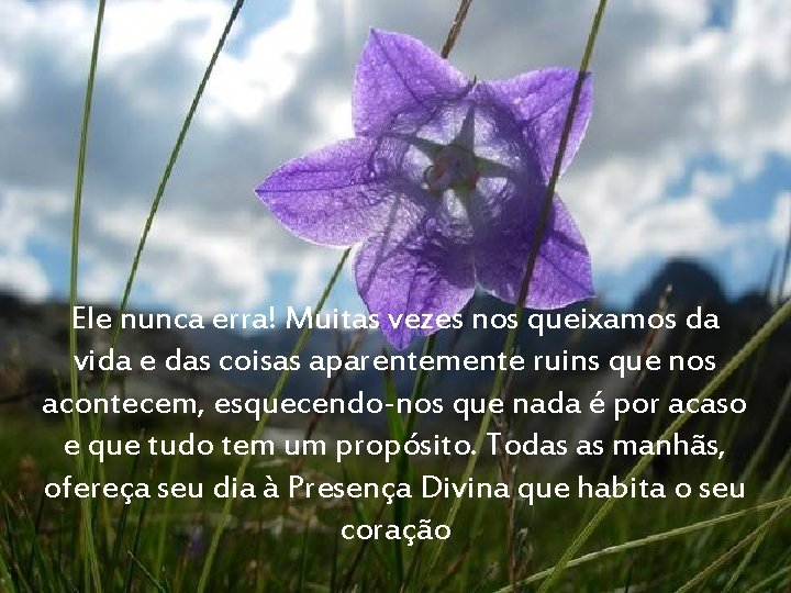 Ele nunca erra! Muitas vezes nos queixamos da vida e das coisas aparentemente ruins