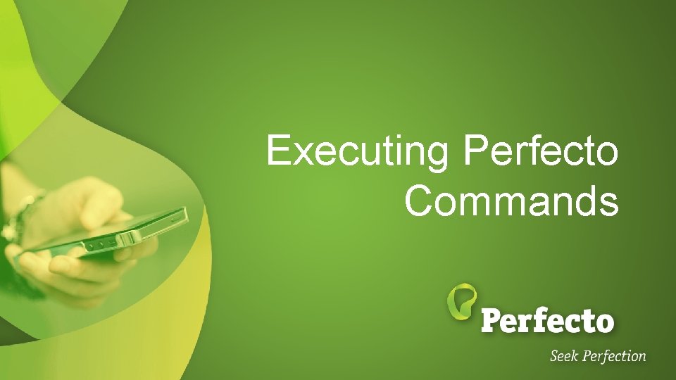 Executing Perfecto Commands 