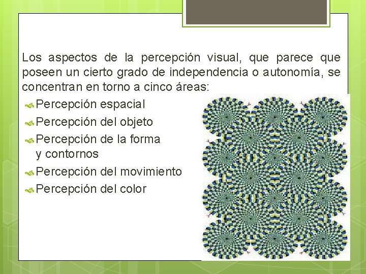 Los aspectos de la percepción visual, que parece que poseen un cierto grado de