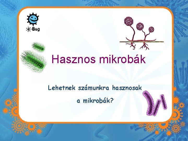 Hasznos mikrobák Lehetnek számunkra hasznosak a mikrobák? 