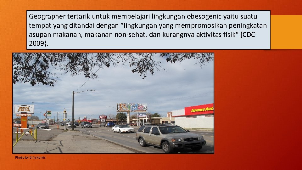 Geographer tertarik untuk mempelajari lingkungan obesogenic yaitu suatu tempat yang ditandai dengan "lingkungan yang