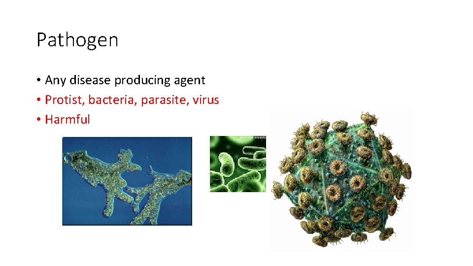 Infectious Disease Vocabulary 82 MICROBE Any microorganism cannot
