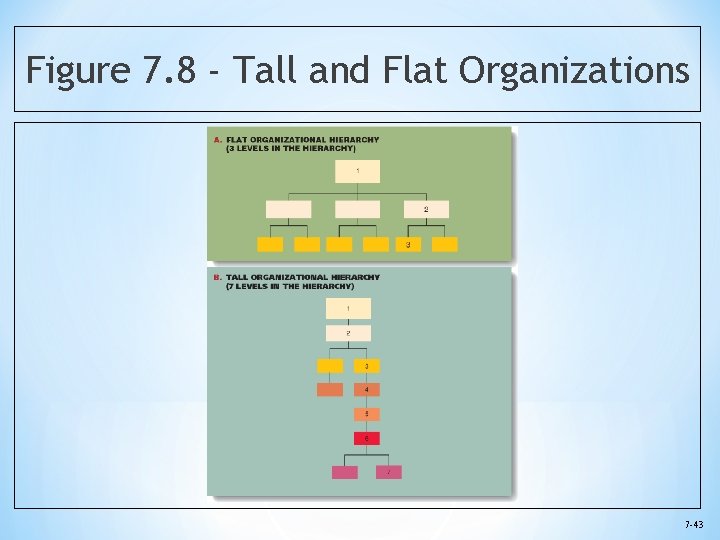 Figure 7. 8 - Tall and Flat Organizations 7 -43 