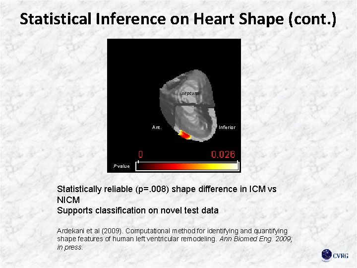 Statistical Inference on Heart Shape (cont. ) septum Ant. Inferior P value Statistically reliable