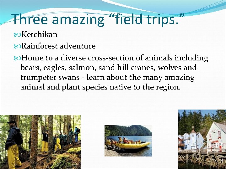 Three amazing “field trips. ” Ketchikan Rainforest adventure Home to a diverse cross-section of