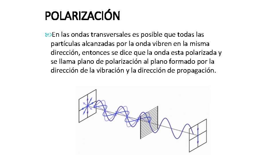 POLARIZACIÓN En las ondas transversales es posible que todas las partículas alcanzadas por la