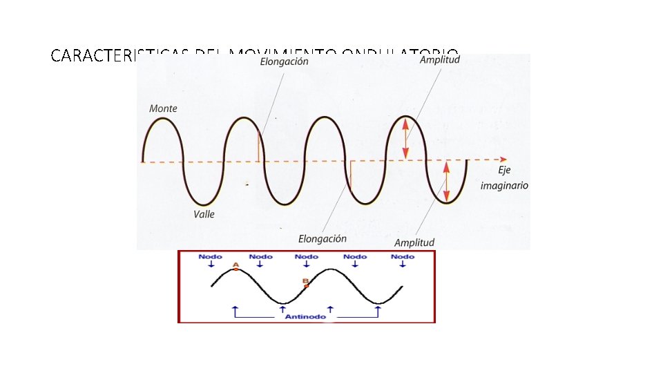 CARACTERISTICAS DEL MOVIMIENTO ONDULATORIO 