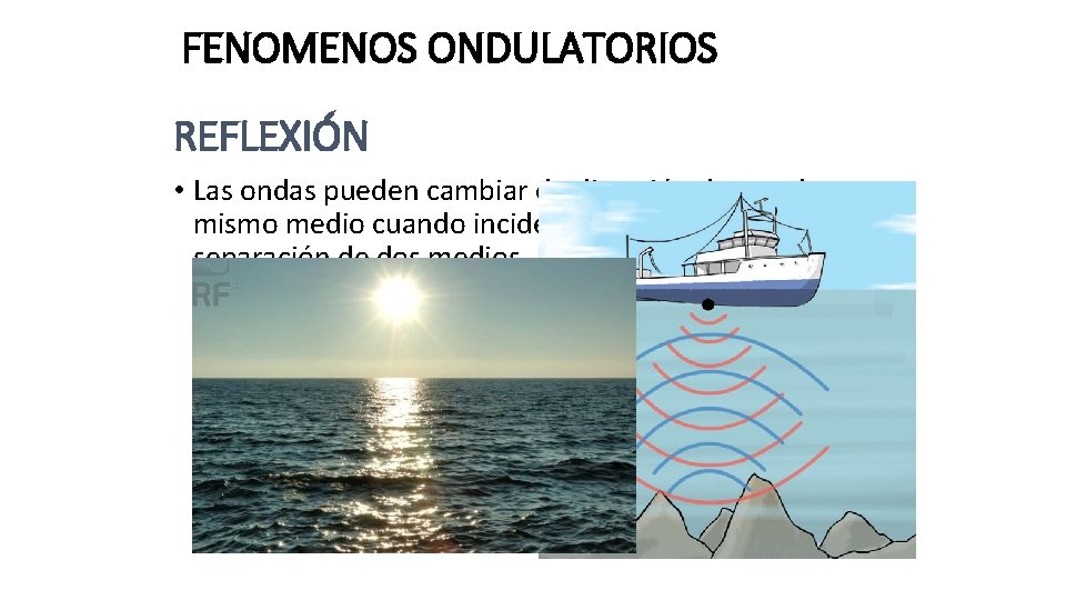 FENOMENOS ONDULATORIOS REFLEXIÓN • Las ondas pueden cambiar de dirección dentro de un mismo
