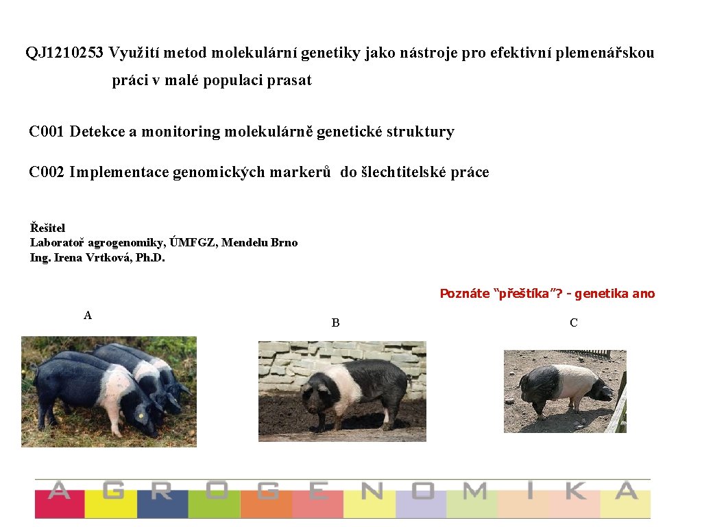 QJ 1210253 Využití metod molekulární genetiky jako nástroje pro efektivní plemenářskou práci v malé