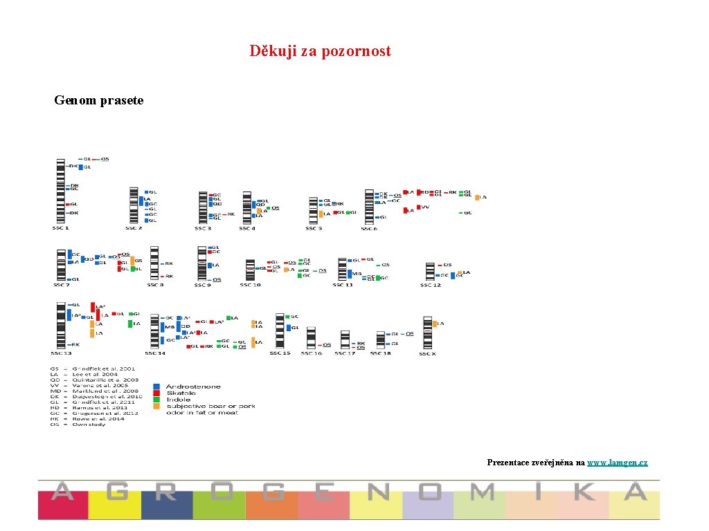 Děkuji za pozornost Genom prasete Prezentace zveřejněna na www. lamgen. cz 