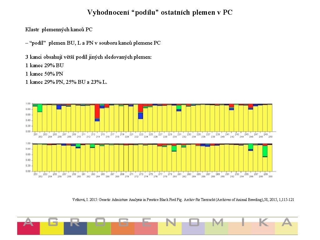 Vyhodnocení “podílu” ostatních plemen v PC Klastr plemenných kanců PC – “podíl” plemen BU,