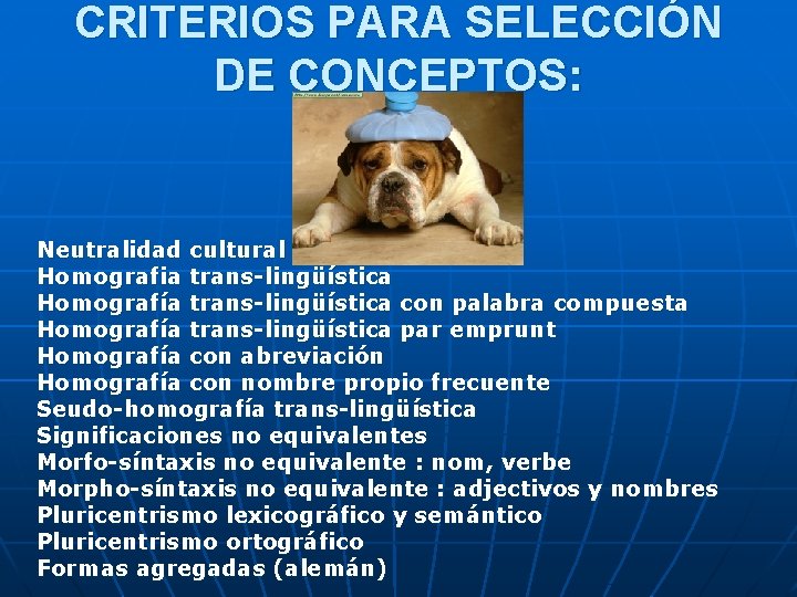 CRITERIOS PARA SELECCIÓN DE CONCEPTOS: Neutralidad cultural Homografia trans-lingüística Homografía trans-lingüística con palabra compuesta