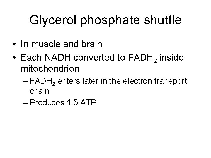 Glycerol phosphate shuttle • In muscle and brain • Each NADH converted to FADH