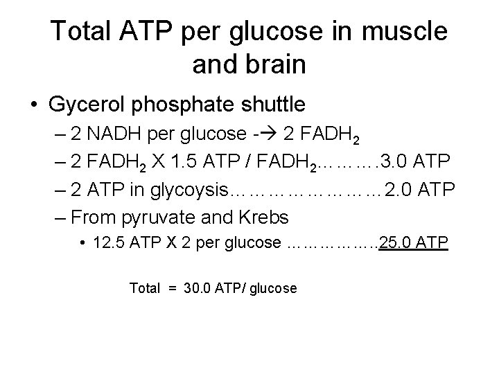 Total ATP per glucose in muscle and brain • Gycerol phosphate shuttle – 2