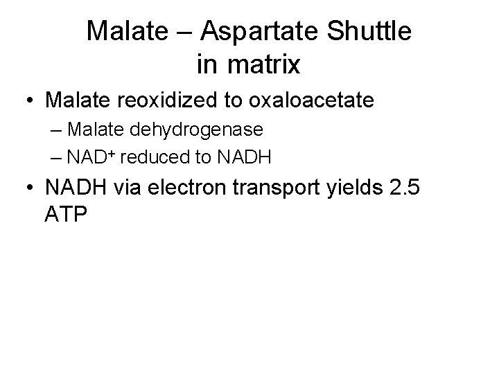 Malate – Aspartate Shuttle in matrix • Malate reoxidized to oxaloacetate – Malate dehydrogenase