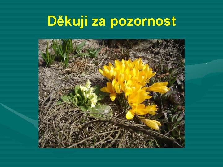 Děkuji za pozornost 