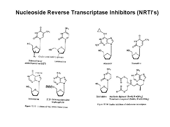 Nucleoside Reverse Transcriptase Inhibitors (NRTI’s) 