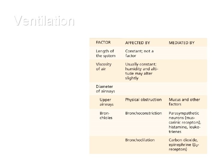 Ventilation Airway diameter & other factors that affect airway resistance? 