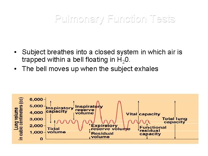 Pulmonary Function Tests • Assessed by spirometry. • Subject breathes into a closed system