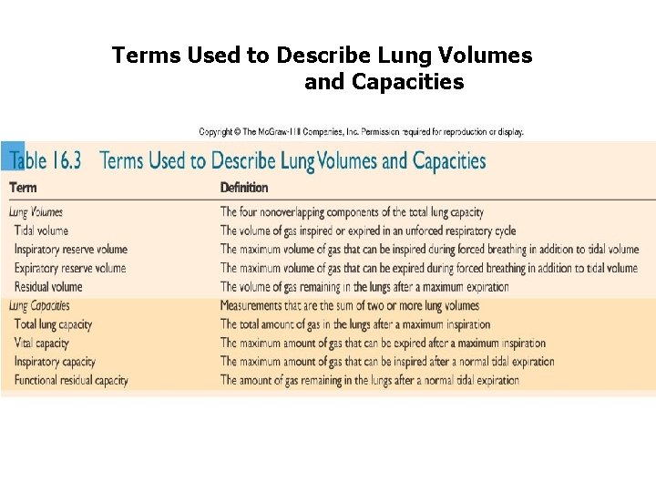 Terms Used to Describe Lung Volumes and Capacities 