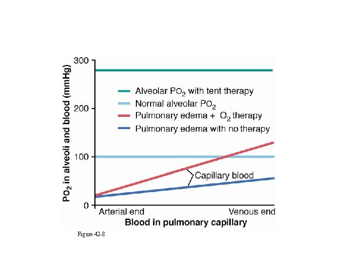 Responses to Oxygen Therapy Figure 42 -8 