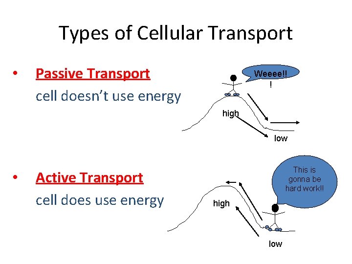 Types of Cellular Transport • Passive Transport cell doesn’t use energy Weeee!! ! high