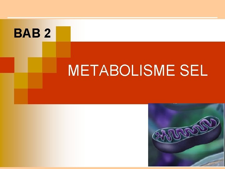 BAB 2 METABOLISME SEL 