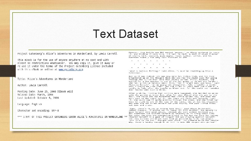 Text Dataset 