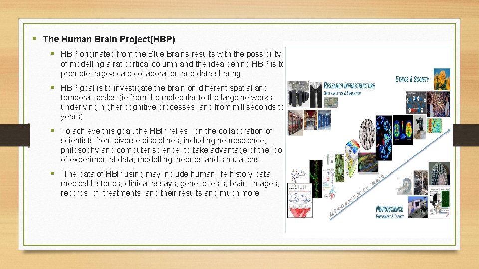 § The Human Brain Project(HBP) § HBP originated from the Blue Brains results with