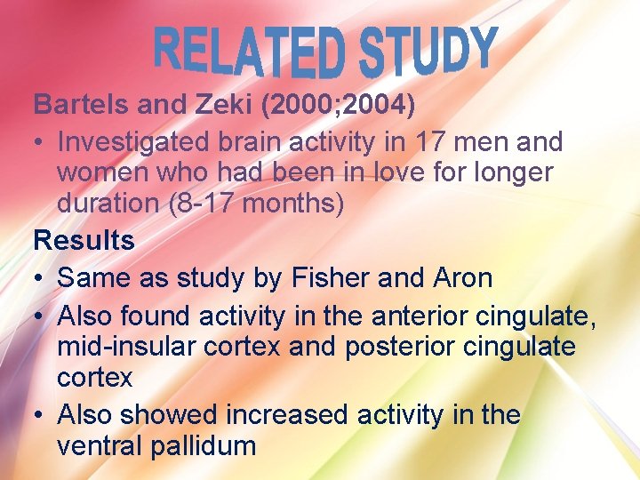 Bartels and Zeki (2000; 2004) • Investigated brain activity in 17 men and women