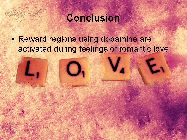Conclusion • Reward regions using dopamine are activated during feelings of romantic love 