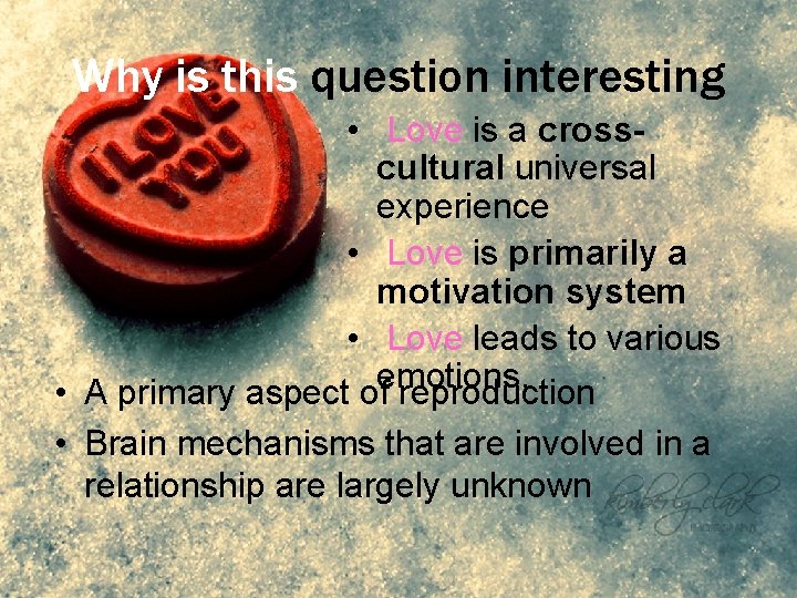 Why is this question interesting • Love is a crosscultural universal experience • Love