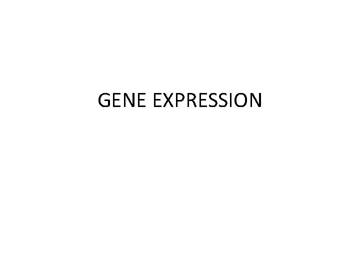 GENE EXPRESSION 