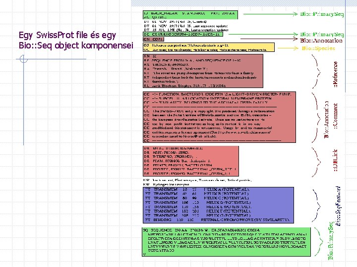 Egy Swiss. Prot file és egy Bio: : Seq object komponensei 