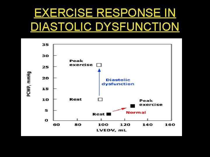 EXERCISE RESPONSE IN DIASTOLIC DYSFUNCTION 