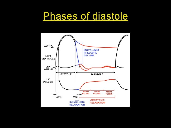 Phases of diastole 