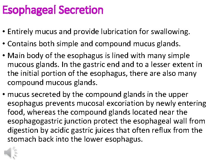 Esophageal Secretion • Entirely mucus and provide lubrication for swallowing. • Contains both simple