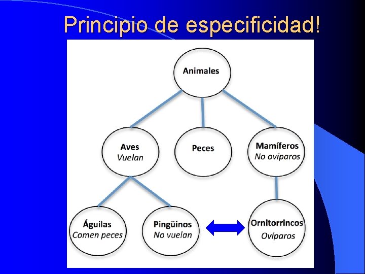 Principio de especificidad! 