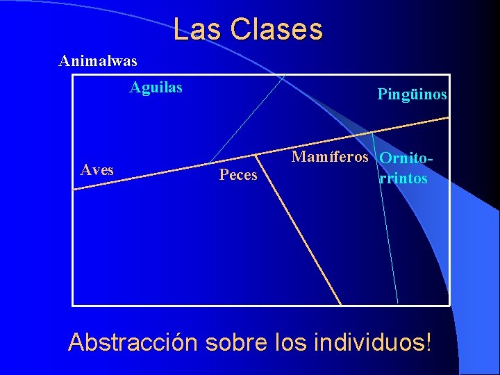 Las Clases Animalwas Aguilas Aves Pingüinos Peces Mamíferos Ornitorrintos Abstracción sobre los individuos! 