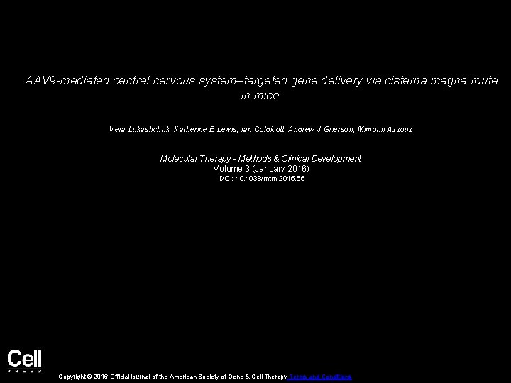 AAV 9 -mediated central nervous system–targeted gene delivery via cisterna magna route in mice