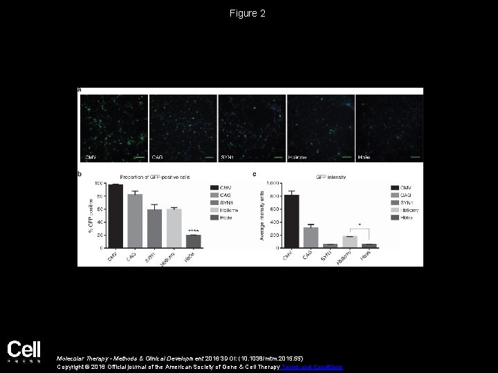 Figure 2 Molecular Therapy - Methods & Clinical Development 2016 3 DOI: (10. 1038/mtm.