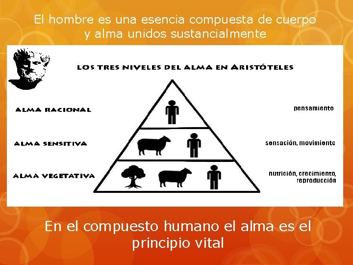 EL PROBLEMA DEL HOMBRE EN EL PENSAMIENTO GRIEGO