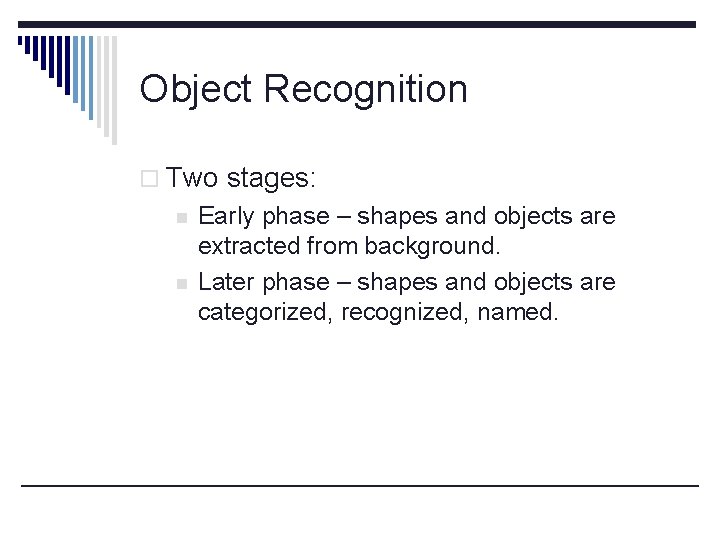 Object Recognition o Two stages: n n Early phase – shapes and objects are