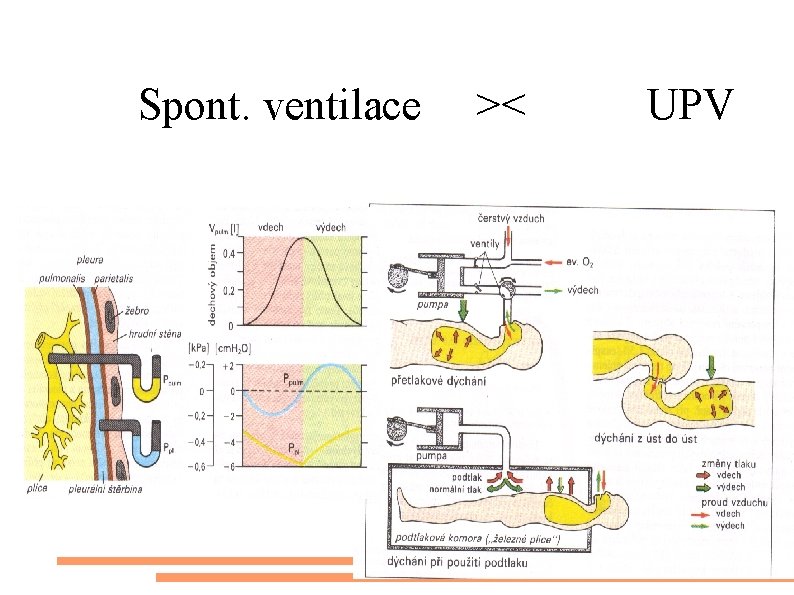 Spont. ventilace >< UPV 