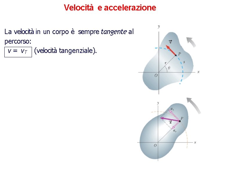 Velocità e accelerazione La velocità in un corpo è sempre tangente al percorso: v