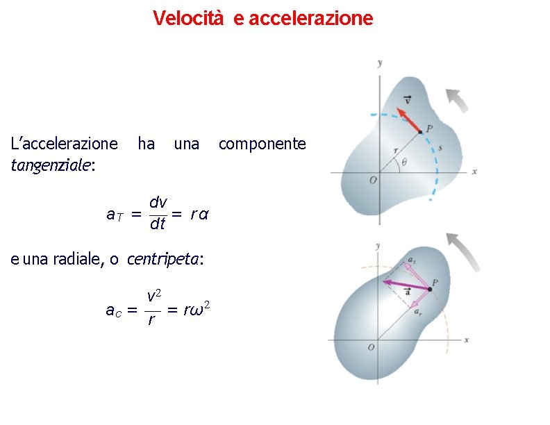 Velocità e accelerazione L’accelerazione tangenziale: ha una dv a. T = = rα dt