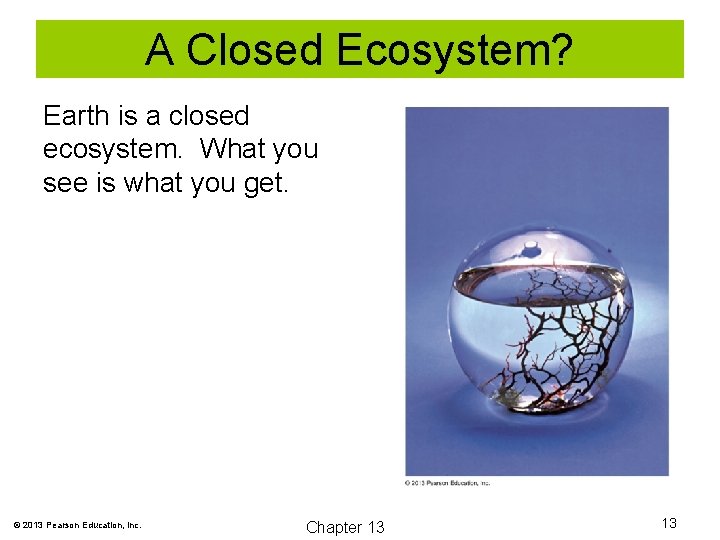 A Closed Ecosystem? Earth is a closed ecosystem. What you see is what you