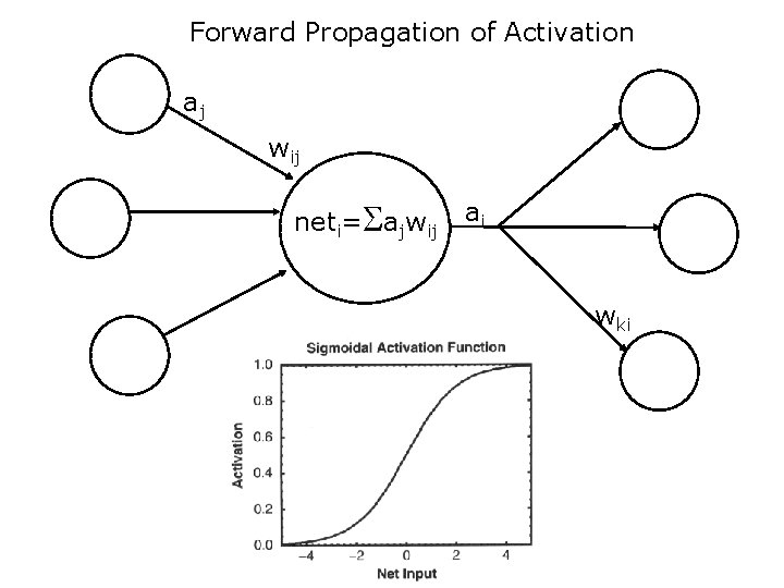 Forward Propagation of Activation aj wij neti=Sajwij ai wki 