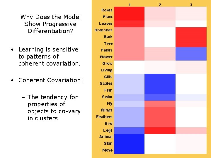 Why Does the Model Show Progressive Differentiation? • Learning is sensitive to patterns of