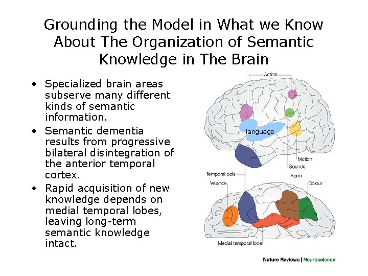 Grounding the Model in What we Know About The Organization of Semantic Knowledge in